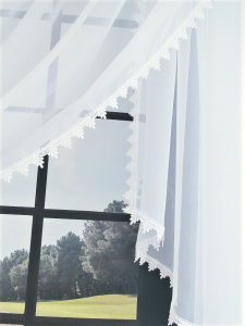 67159765_2875224712552839_4151656980500447232_n.png