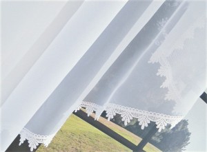 67813924_2875224279219549_5347121622232858624_n.jpg