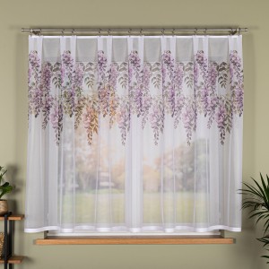 Wisteria firana.jpeg