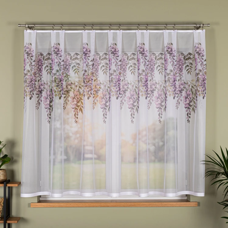 Wisteria firana.jpeg