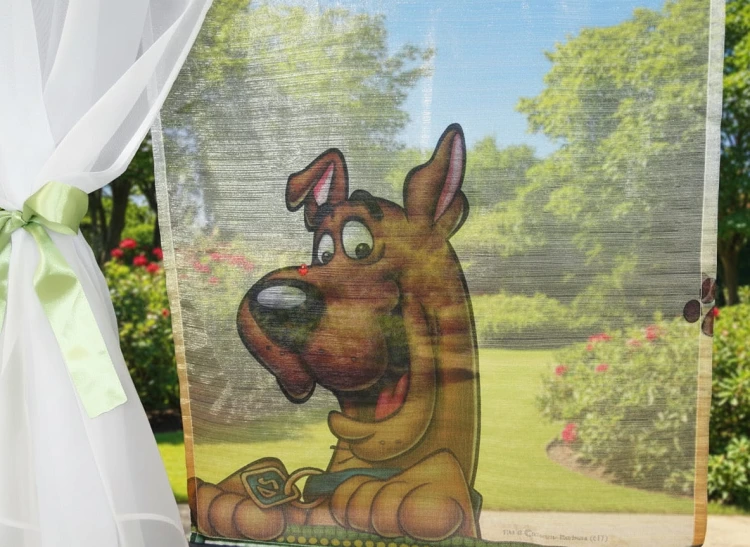 Scooby Doo panel.jpeg