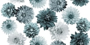 255bfd7ae116241d6218628f61ca707c